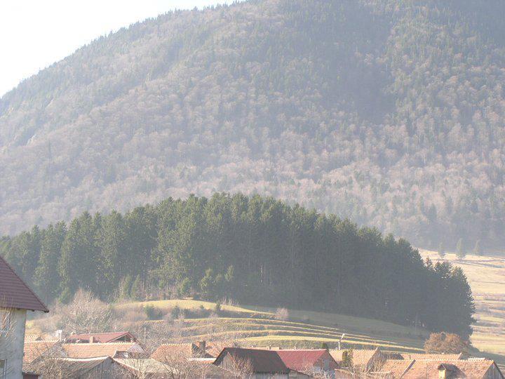 Sura Pietrei Craiului Hotel Zărneşti Kültér fotó